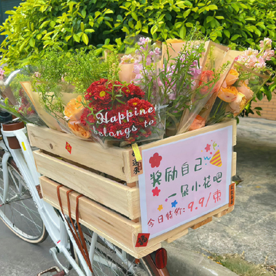 宠物健康知识新青年